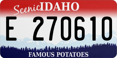 ID license plate E270610