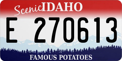 ID license plate E270613