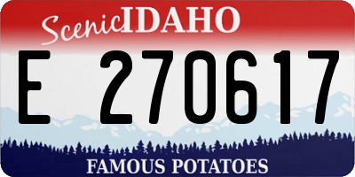 ID license plate E270617