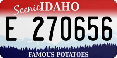 ID license plate E270656