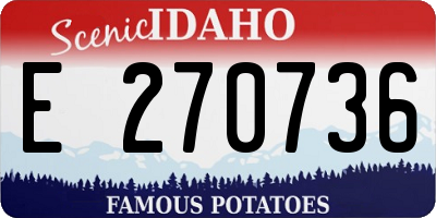 ID license plate E270736