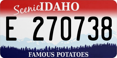 ID license plate E270738