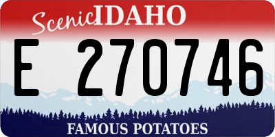 ID license plate E270746