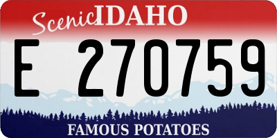 ID license plate E270759