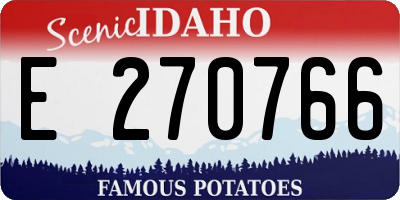 ID license plate E270766