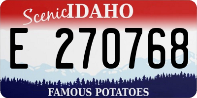 ID license plate E270768