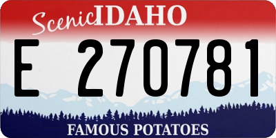 ID license plate E270781