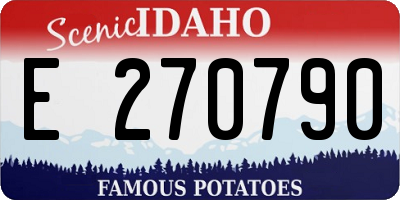 ID license plate E270790
