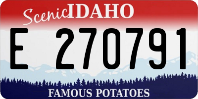 ID license plate E270791