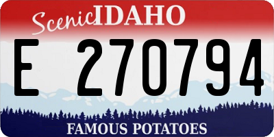 ID license plate E270794