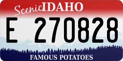 ID license plate E270828