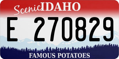 ID license plate E270829