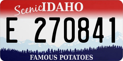ID license plate E270841