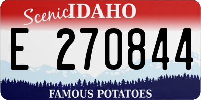 ID license plate E270844