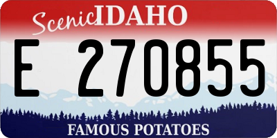 ID license plate E270855