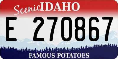 ID license plate E270867
