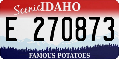 ID license plate E270873
