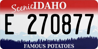 ID license plate E270877