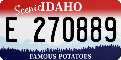ID license plate E270889