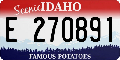 ID license plate E270891