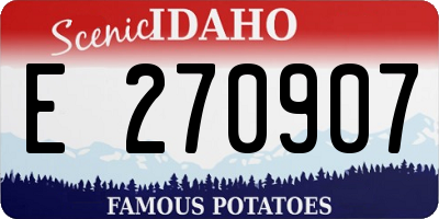 ID license plate E270907