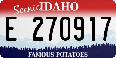 ID license plate E270917