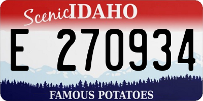 ID license plate E270934