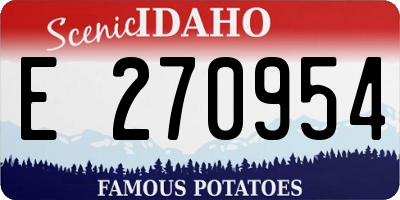 ID license plate E270954