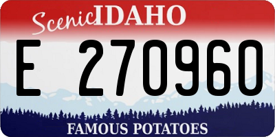 ID license plate E270960