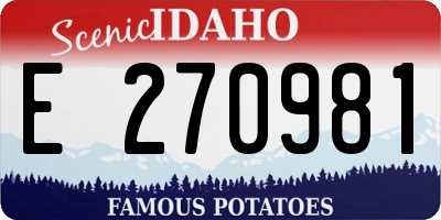 ID license plate E270981
