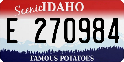 ID license plate E270984