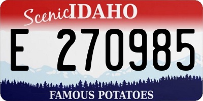 ID license plate E270985
