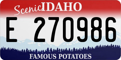 ID license plate E270986
