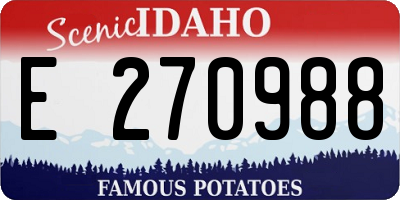 ID license plate E270988