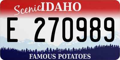 ID license plate E270989