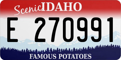 ID license plate E270991