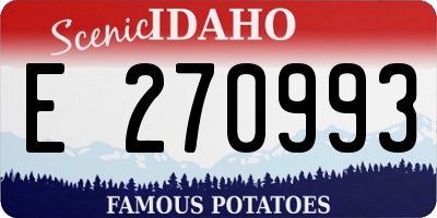 ID license plate E270993