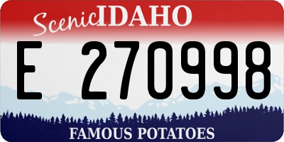 ID license plate E270998