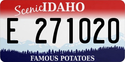ID license plate E271020