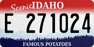 ID license plate E271024