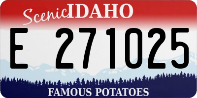 ID license plate E271025