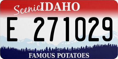 ID license plate E271029