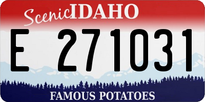 ID license plate E271031