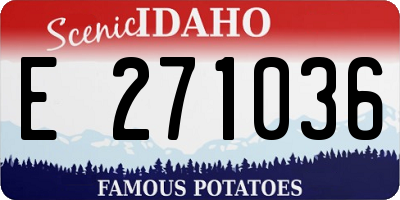 ID license plate E271036