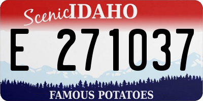 ID license plate E271037