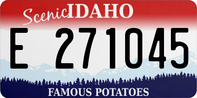 ID license plate E271045