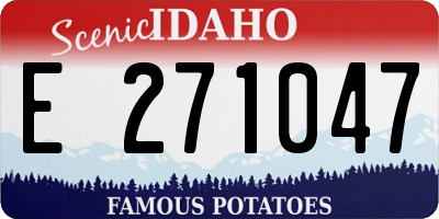 ID license plate E271047
