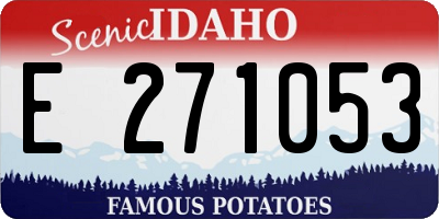 ID license plate E271053