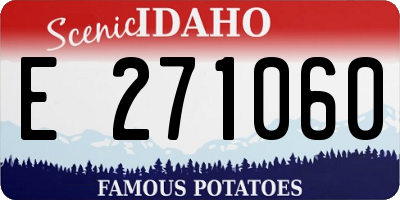 ID license plate E271060