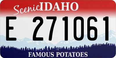 ID license plate E271061